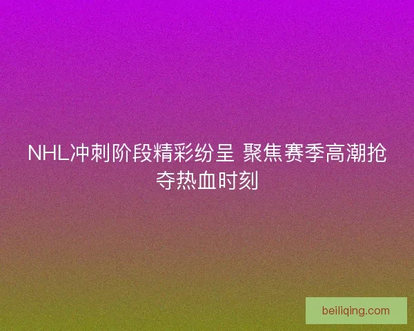 NHL冲刺阶段精彩纷呈 聚焦赛季高潮抢夺热血时刻